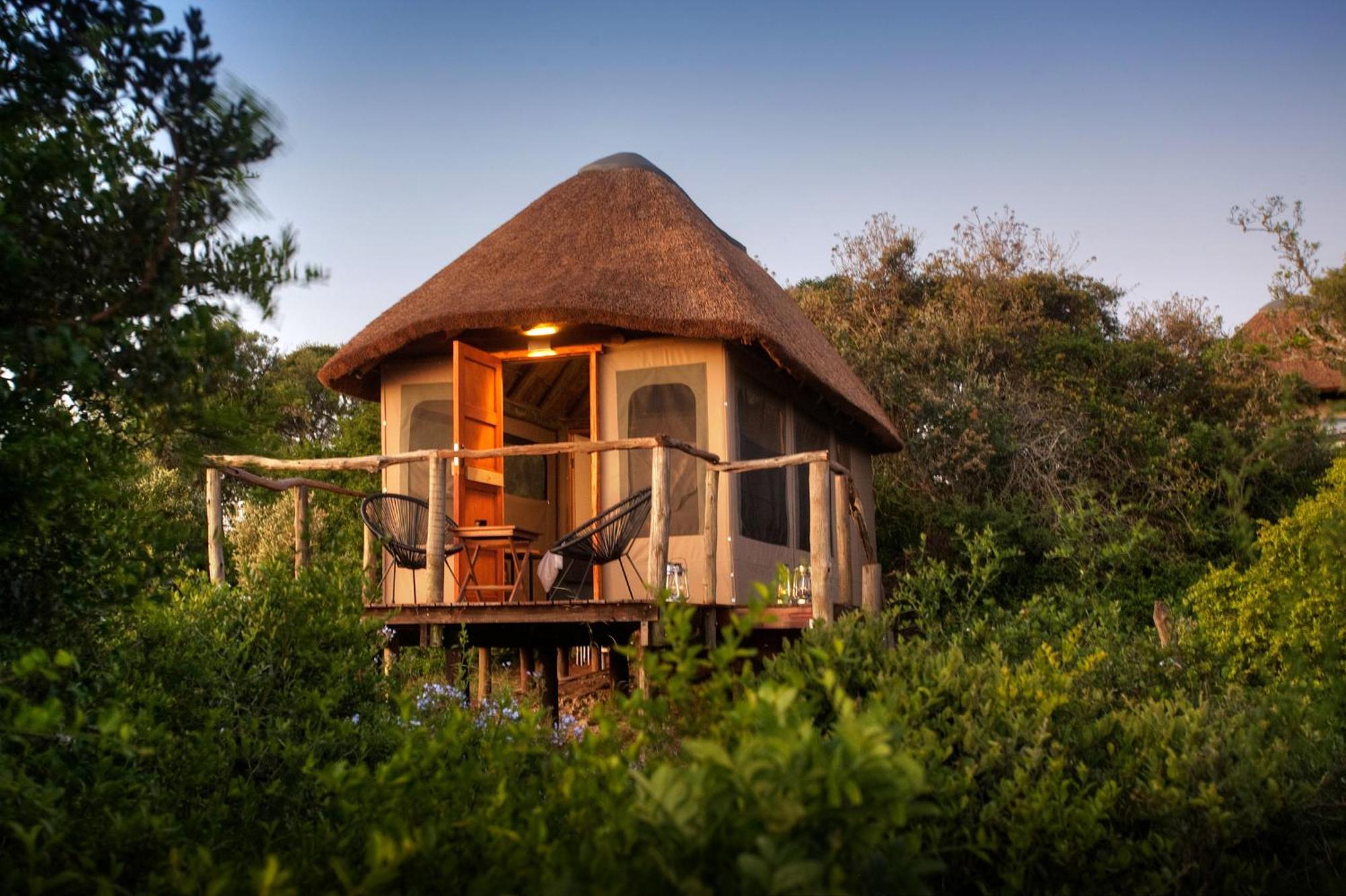 Addo Elephant Safari Lodge - Bellevue Forest Reserve Paterson ภายนอก รูปภาพ