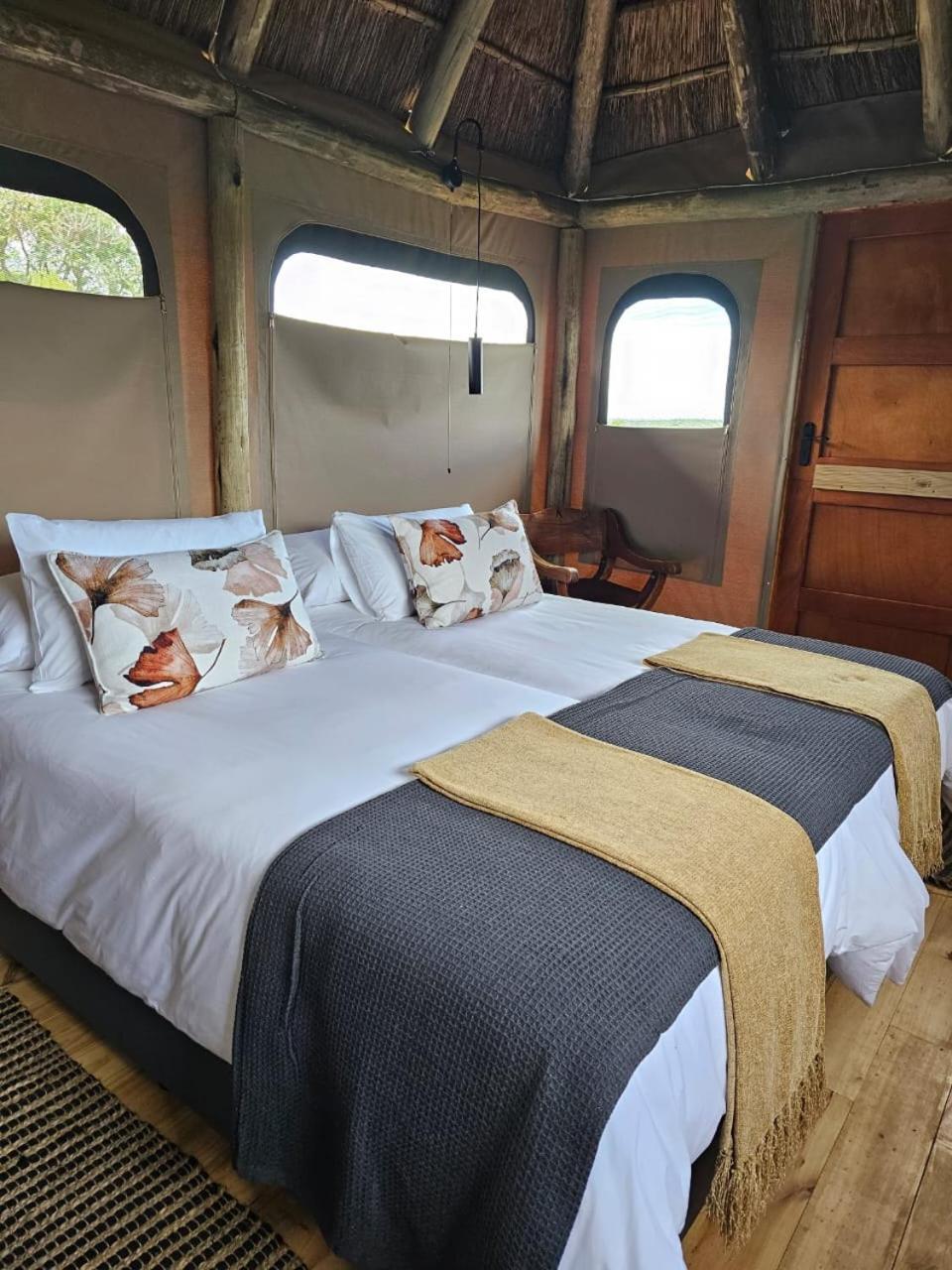 Addo Elephant Safari Lodge - Bellevue Forest Reserve Paterson ภายนอก รูปภาพ