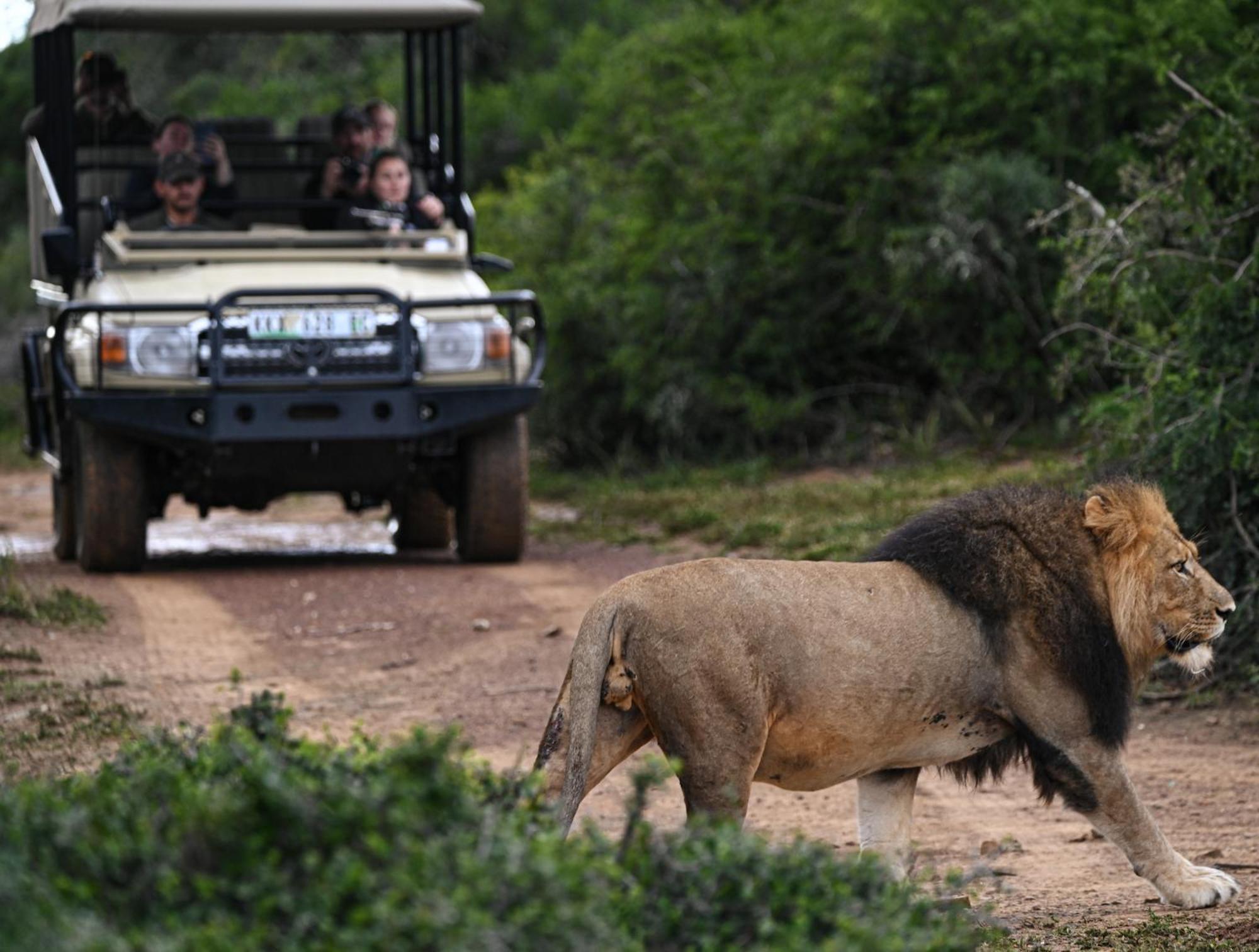 Addo Elephant Safari Lodge - Bellevue Forest Reserve Paterson ภายนอก รูปภาพ