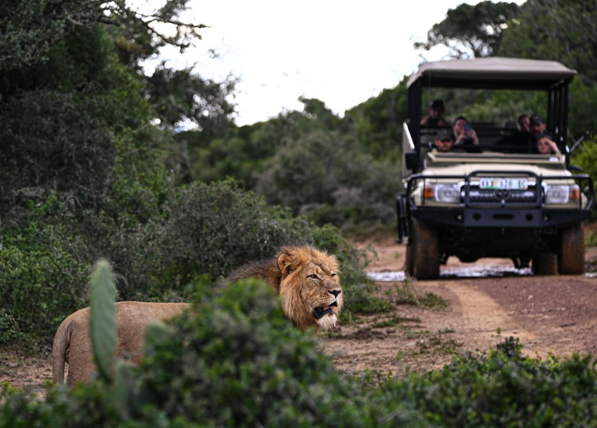 Addo Elephant Safari Lodge - Bellevue Forest Reserve Paterson ภายนอก รูปภาพ
