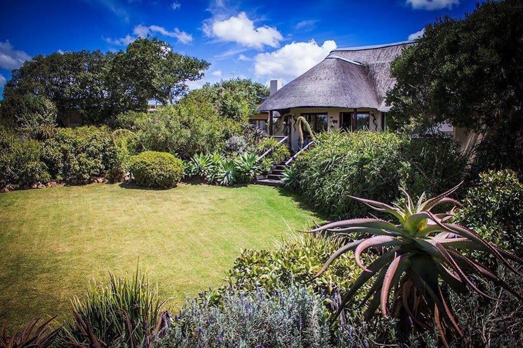 Addo Elephant Safari Lodge - Bellevue Forest Reserve Paterson ภายนอก รูปภาพ