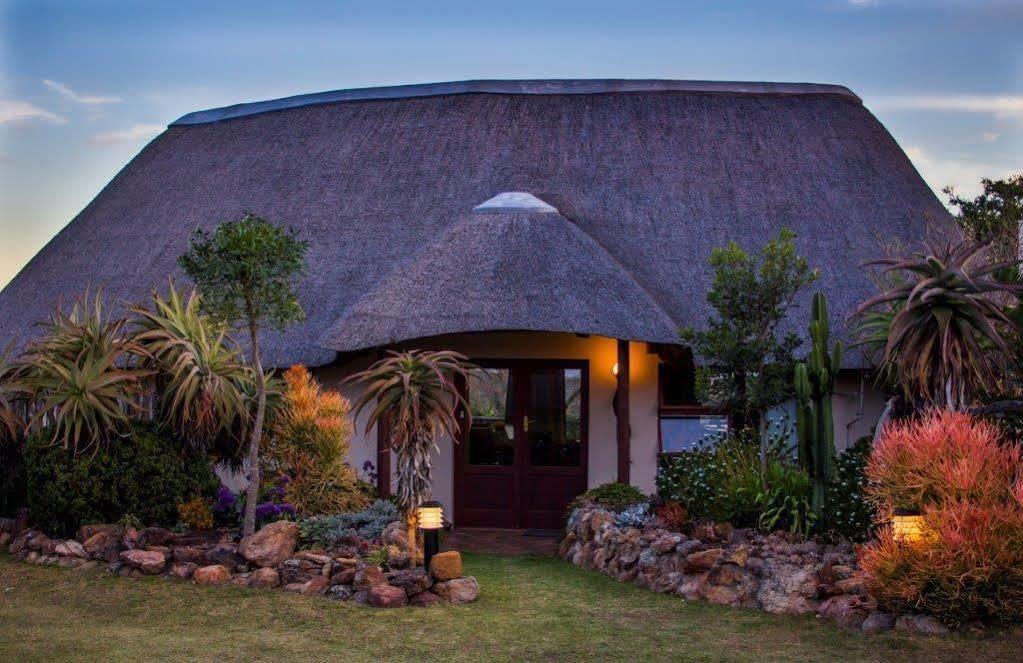 Addo Elephant Safari Lodge - Bellevue Forest Reserve Paterson ภายนอก รูปภาพ