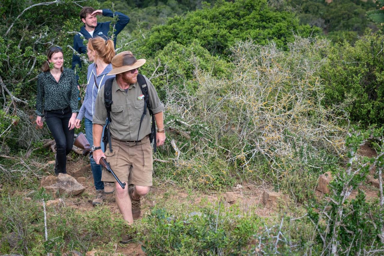 Addo Elephant Safari Lodge - Bellevue Forest Reserve Paterson ภายนอก รูปภาพ