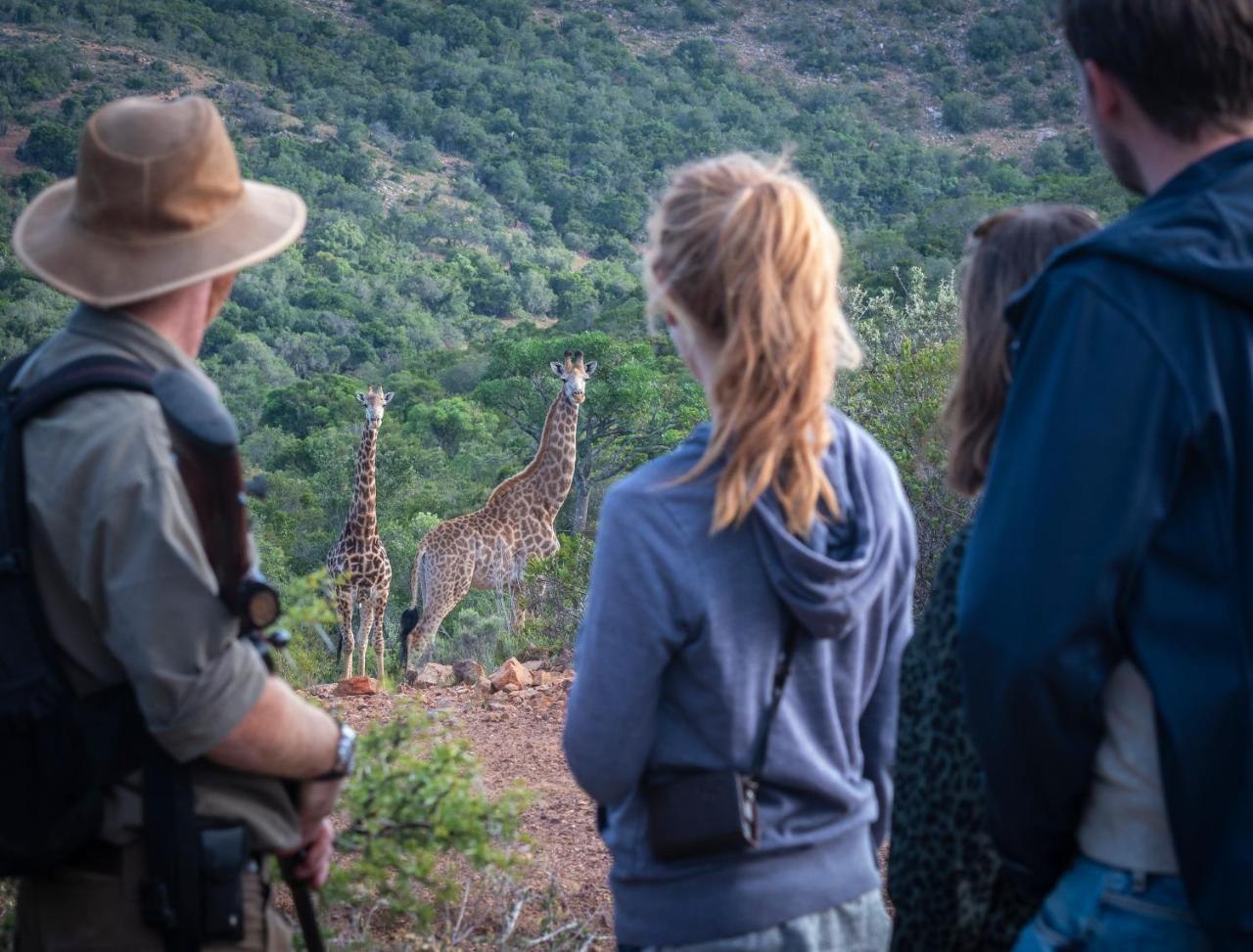 Addo Elephant Safari Lodge - Bellevue Forest Reserve Paterson ภายนอก รูปภาพ