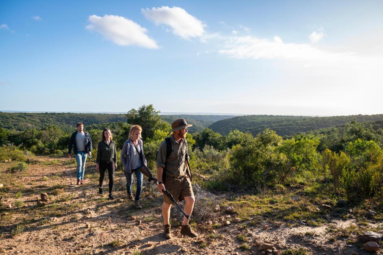 Addo Elephant Safari Lodge - Bellevue Forest Reserve Paterson ภายนอก รูปภาพ