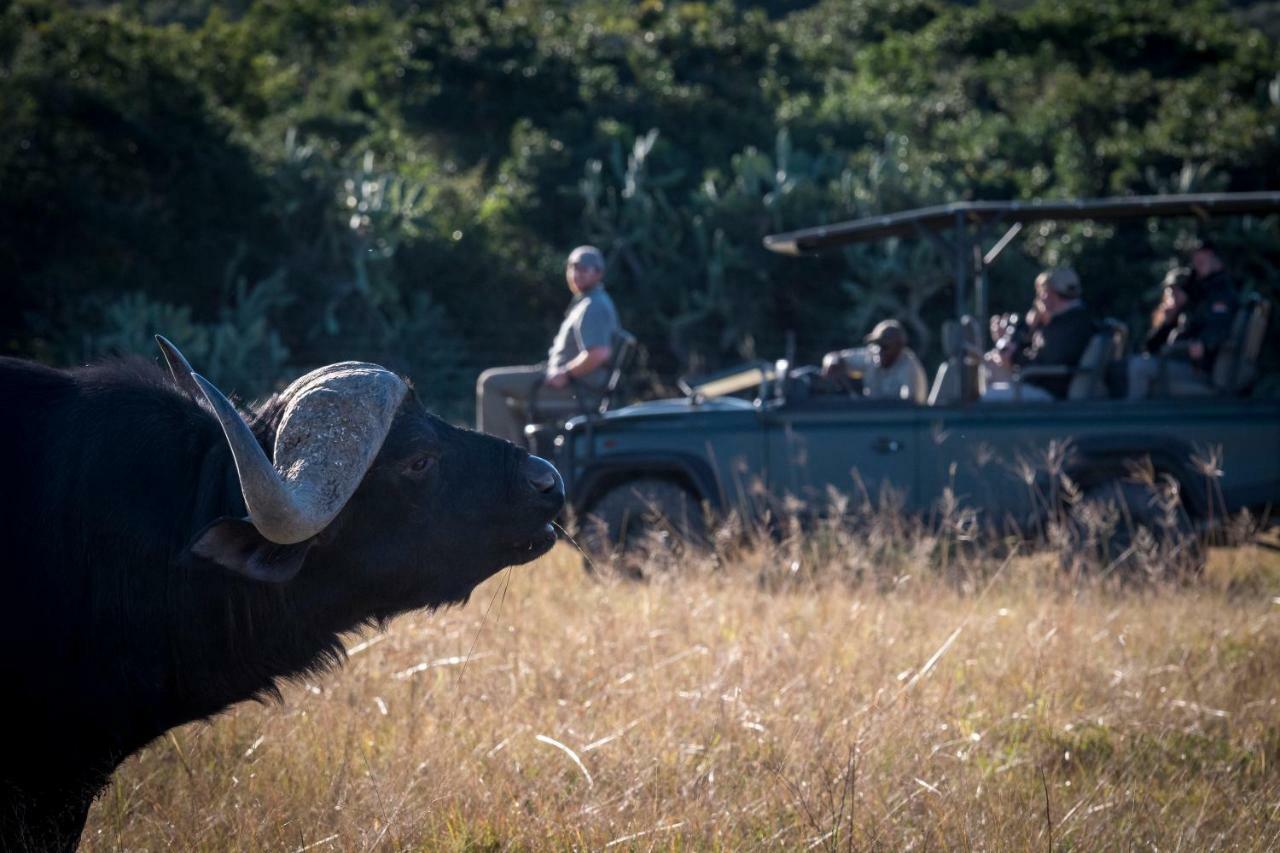 Addo Elephant Safari Lodge - Bellevue Forest Reserve Paterson ภายนอก รูปภาพ