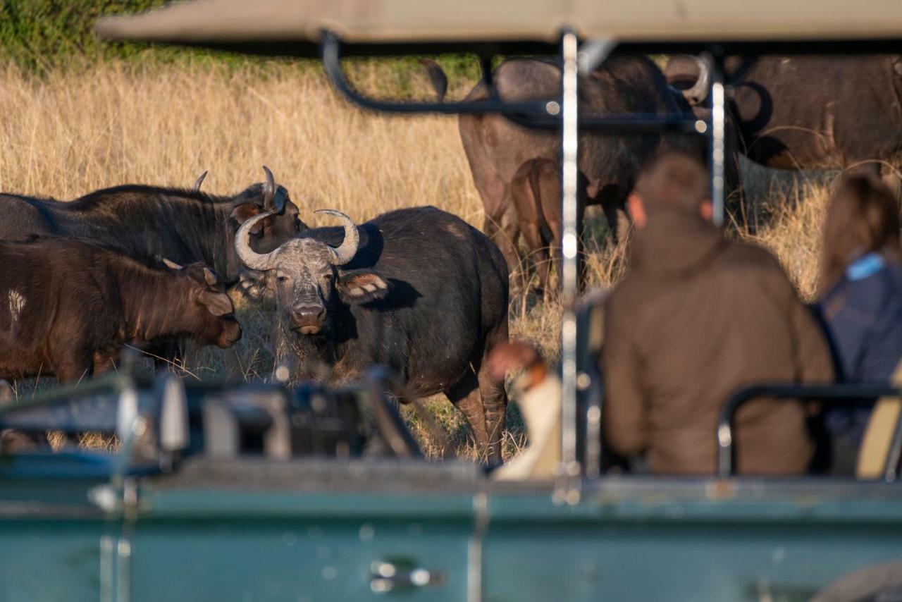 Addo Elephant Safari Lodge - Bellevue Forest Reserve Paterson ภายนอก รูปภาพ