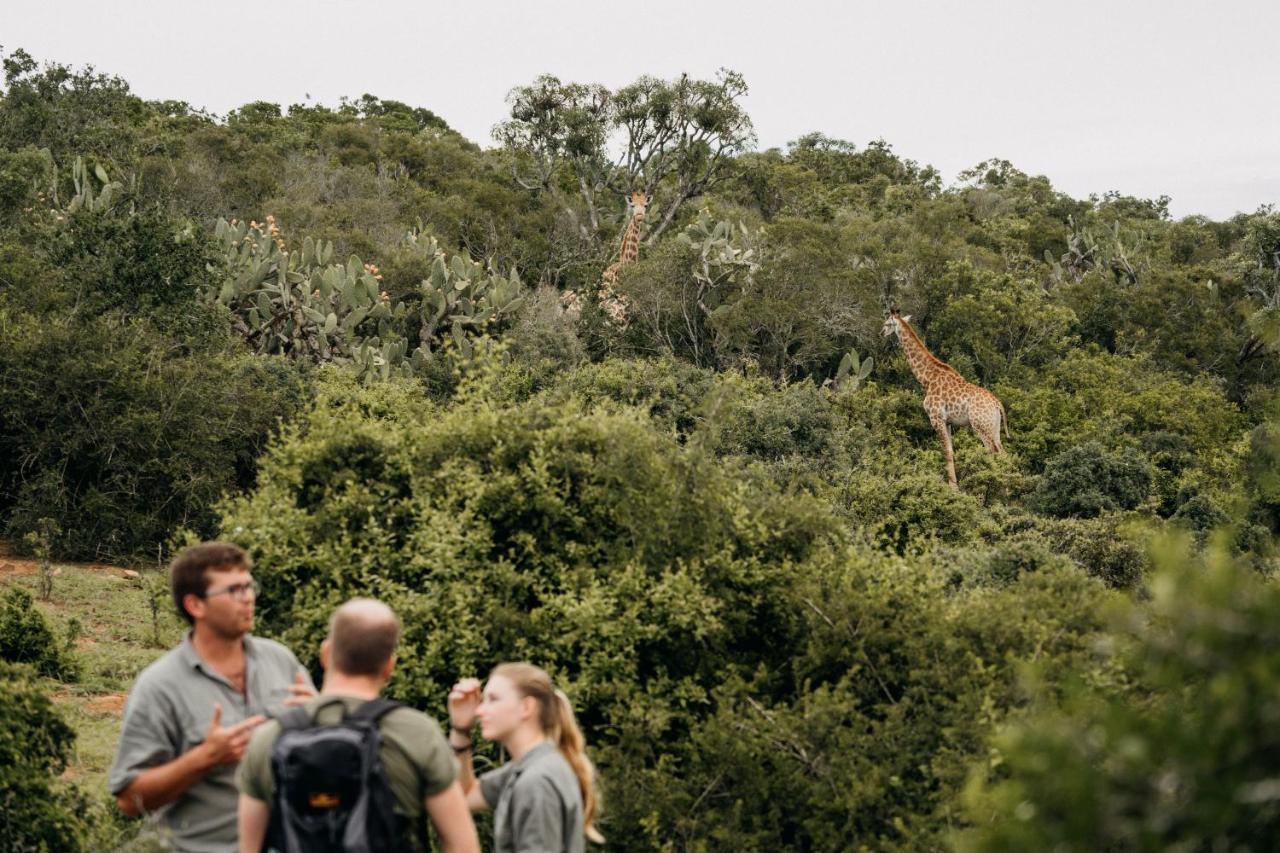 Addo Elephant Safari Lodge - Bellevue Forest Reserve Paterson ภายนอก รูปภาพ