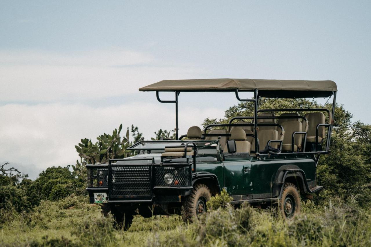 Addo Elephant Safari Lodge - Bellevue Forest Reserve Paterson ภายนอก รูปภาพ